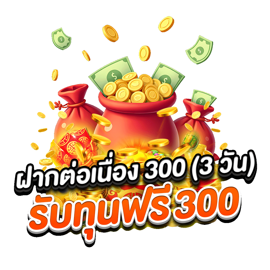 โปรโมชั่น zpromax